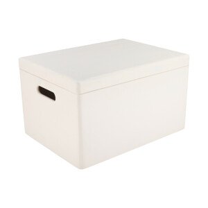 Dřevěný box s víkem 40x30x23 cm - bílý